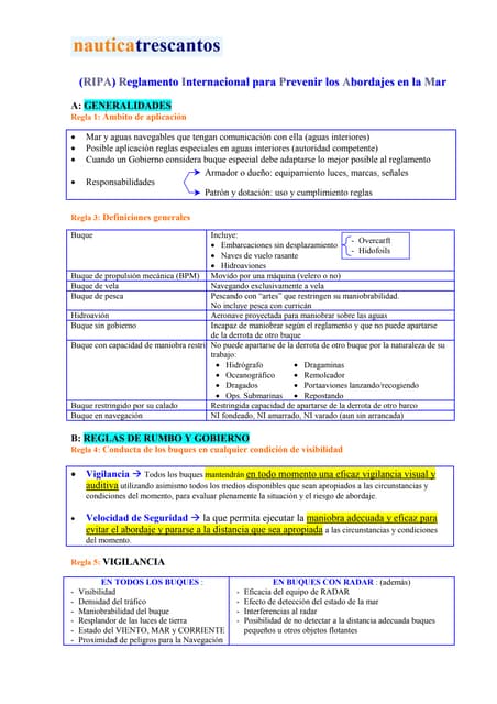 Manual RIPA resumen