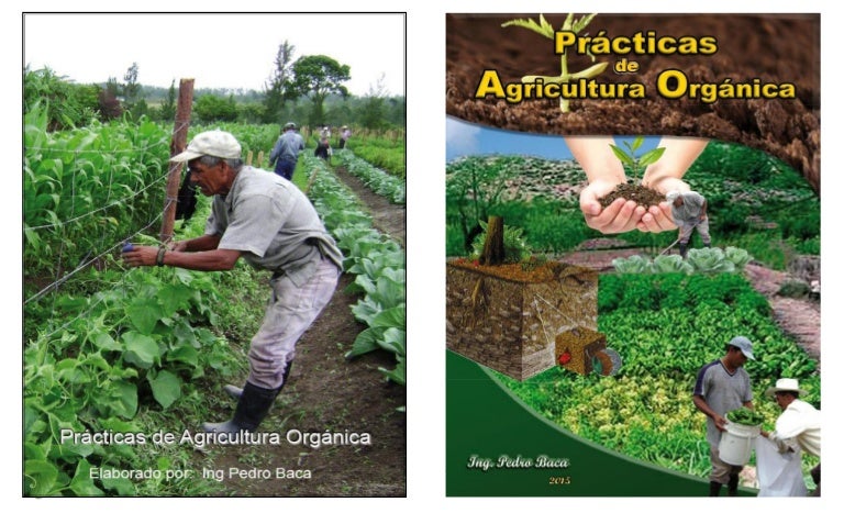Manual agricultura organica.indd