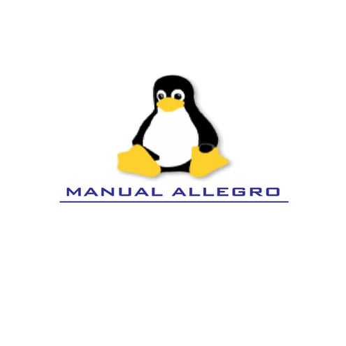 Manual allegro c++ | PDF