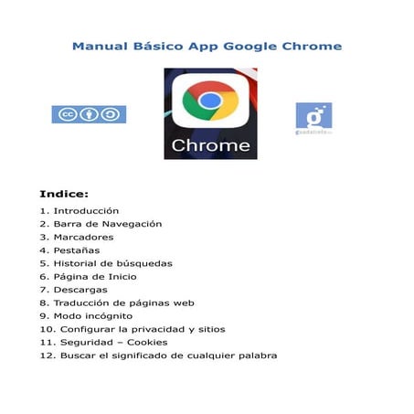 Manual app chrome 2022 | PDF