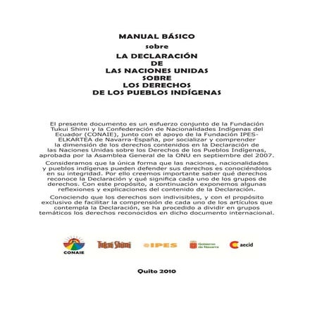 Manual basico ddpi | PDF