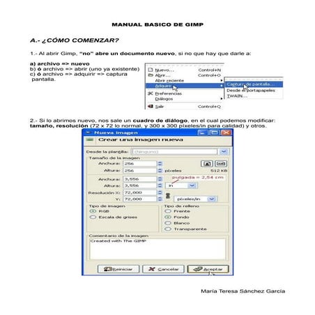 Manual basico de gimp | PDF
