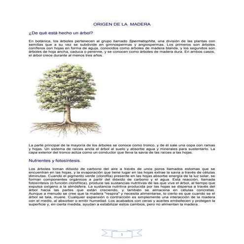 Manual basico de talla en madera