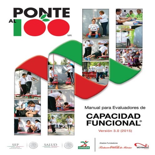 Manual cf 2015 ok | PDF