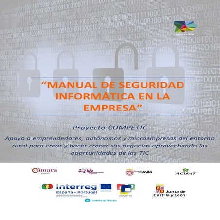 Manual ciberseguridad es