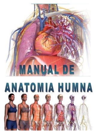 Manual de Anatomia Normal Humana Prof. Edwin Ambulodegui