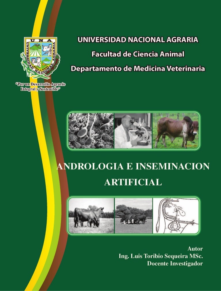 agenesia perro testicular agenesia perro testicular