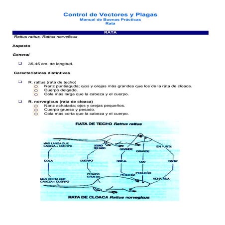 MANEJO INTEGRADO DE PLAGAS Y CONTROL DE ROEDORES | PPTX