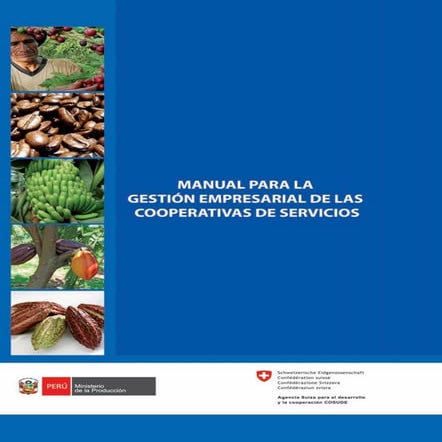 Manual de cooperativas de servicios parte1 | PDF