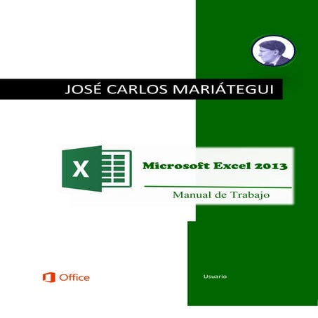 Manual de Excel 2013