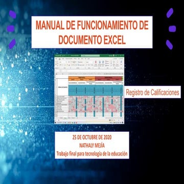 Manual de funcionamiento de documento excel