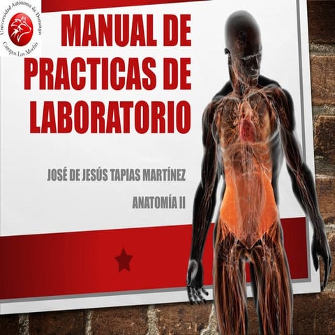 Anatomia Manual de laboratorio