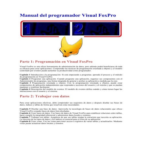 Manual del programador fox pro