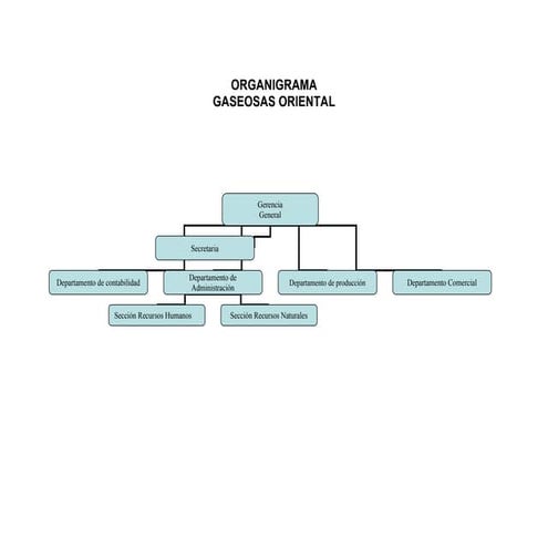 Manual de organización y funciones