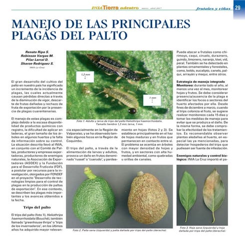 Manual de paltos