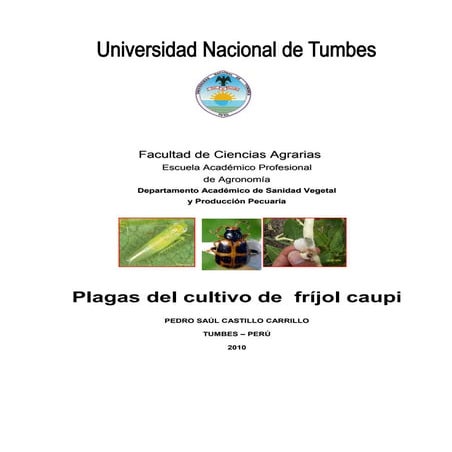 Manual De Plagas De Frijol Caupi