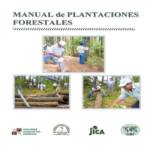 Manual de plantaciones forestales