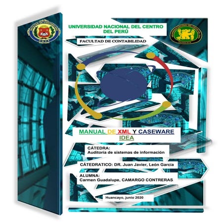 Manual de usuario - Idea Caseware | DOCX