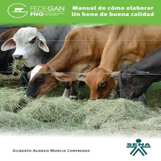 Manual de cómo elaborar un heno de ...
