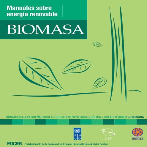 Manual energia biomasica