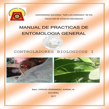 Recolecion, montaje y preservacion de insectos | PDF