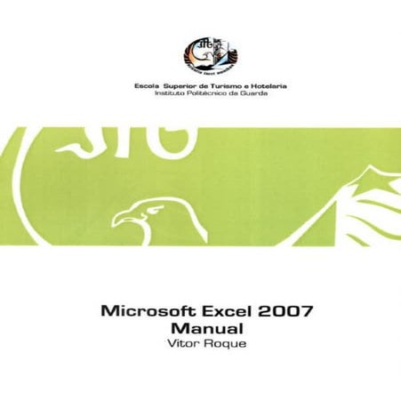 EXCEL 2007 Manual