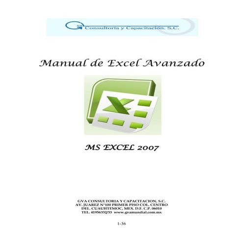 Manual excelavanzado