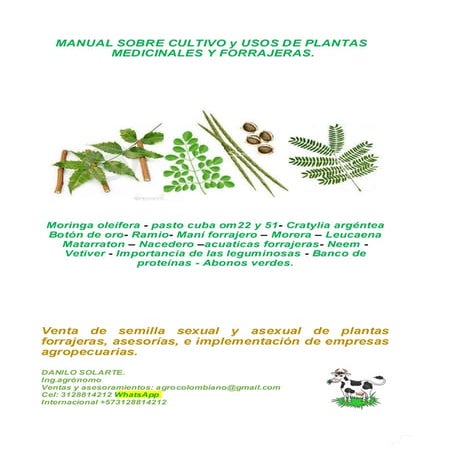 moringa oleifera y otras forrageras tropicales manual