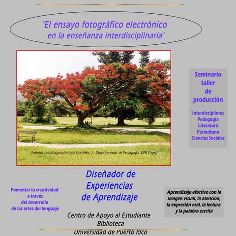 Manual fotoensayo electrónico seminario 2013 zpd