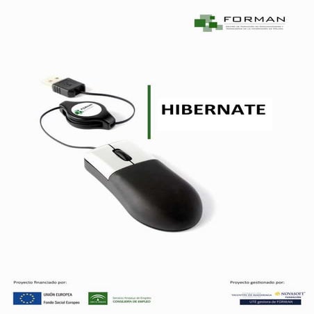 Manual hibernate v2
