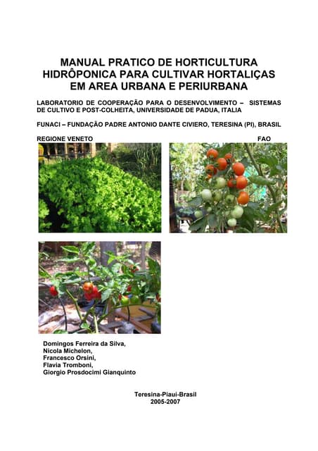Manual hidroponia brasil