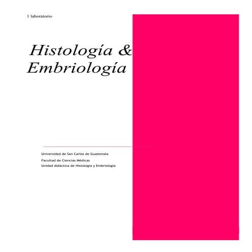 Clave morfofisiologia humana en PDF ucs. | PDF
