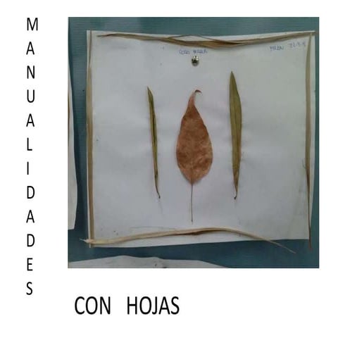 Manualidades con  elementos de la naturaleza
