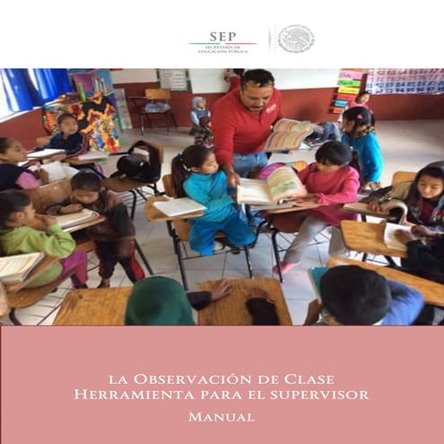 Manual  de las instantaneas para la Observacion de la Clase