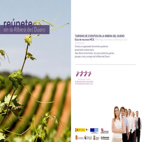 Manual mice Ruta del vino Ribera del Duero 