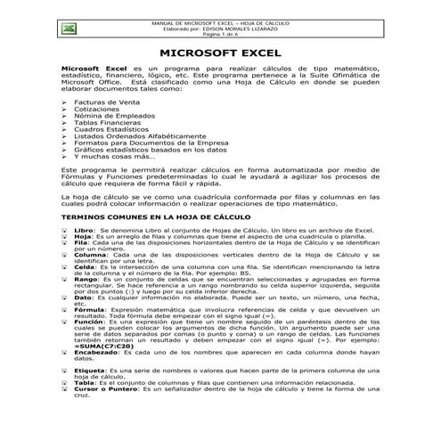 Manual microsoft excel 2003