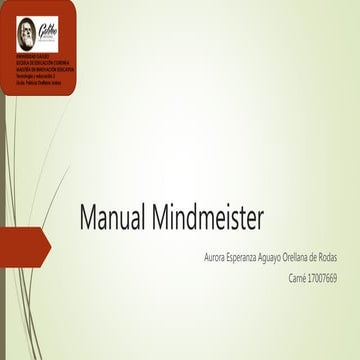 Manual mindmeister