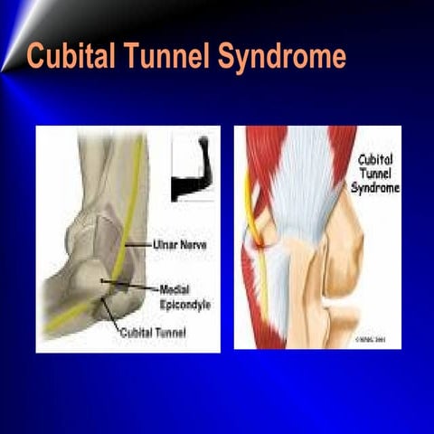 Manualmusletesting 181 210