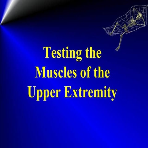 Manualmusletesting 91 20