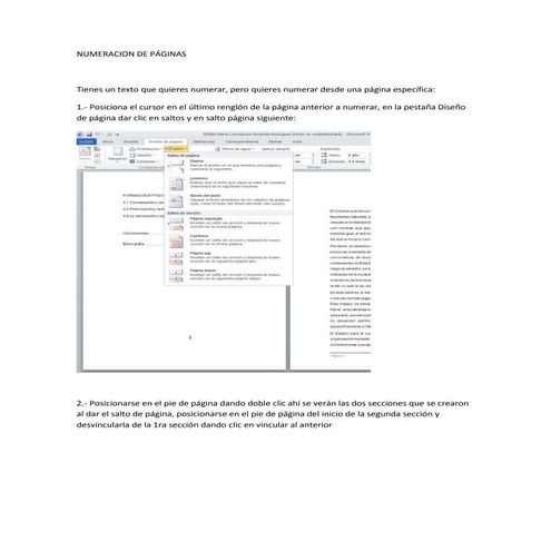 Manual numeracion de páginas WORD 2010