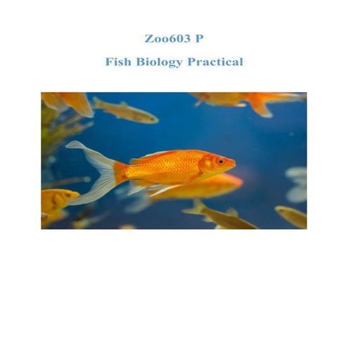 Fish Tagging methods | PPTX