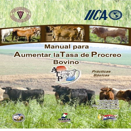 Manual para aumentar la tasa de procreo bovino
