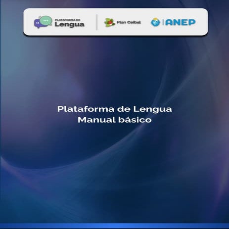 manual PDL.pdf