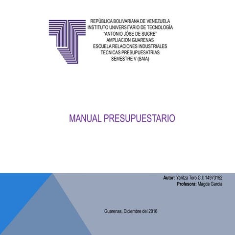 Manual presupuestario..