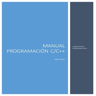 Manual programación