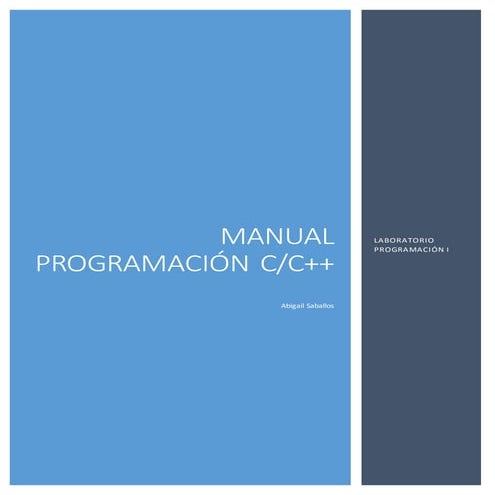 Manual programación