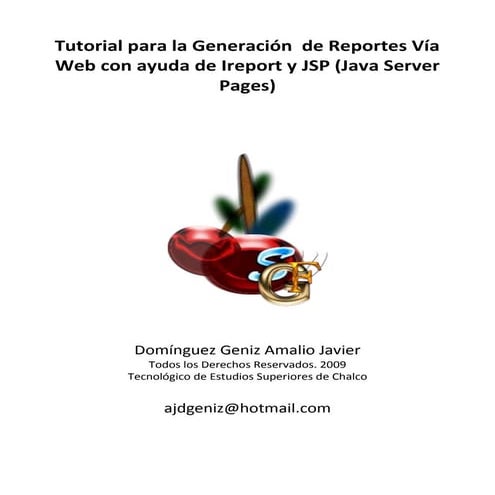 Manual reportes jsp