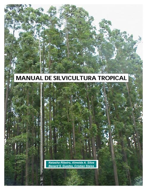 Manual silvicultura tropical