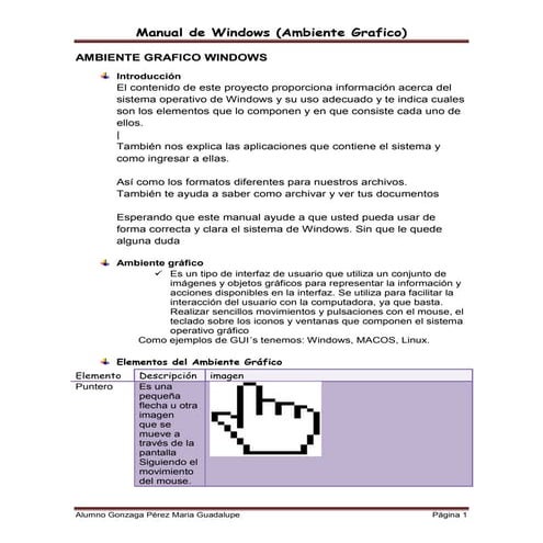 Manual windows 101b257