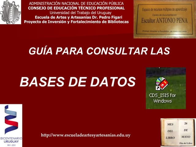 Guía para Consultar las Base de Dat...